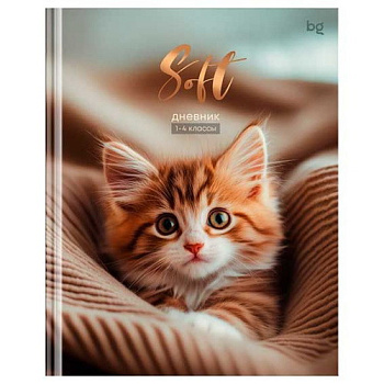Дневник 1-4кл. BG тв.обл. "Soft" 64740 мат.лам.