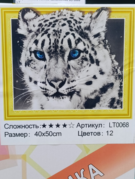 00-00053572