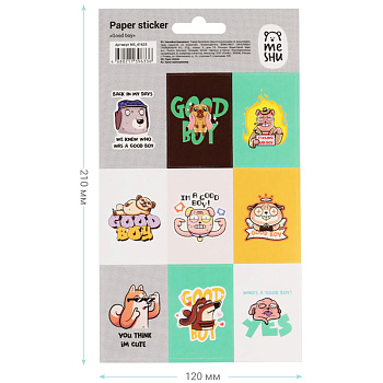 Наклейки бум. (12*21см) MESHU Good boy, 9наклеек MS_41633