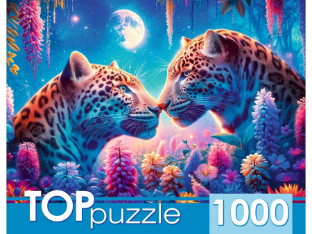 00-00057446