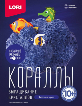00-00019504